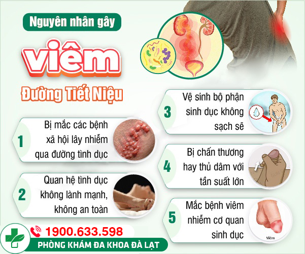 Hình ảnh minh họa